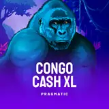 Congo Cash XL