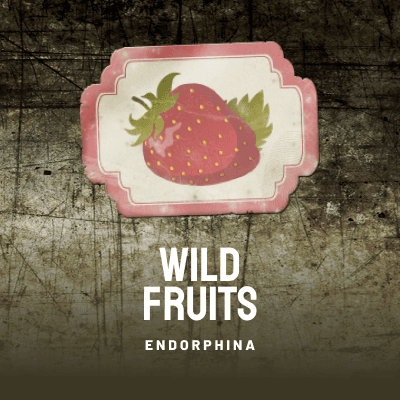 Wild Fruits