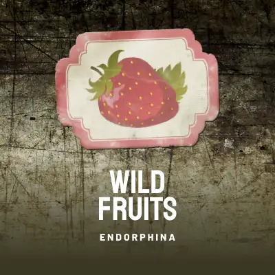 Wild Fruits