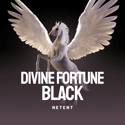 Divine Fortune Black