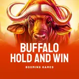 Buffalo Hold And Win