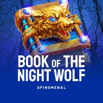 Book Of The Night Wolf