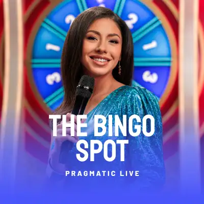 The Bingo Spot