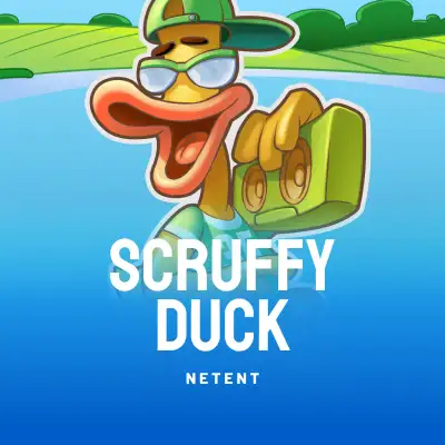 Scruffy Duck
