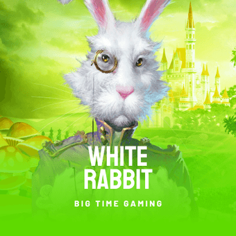 White Rabbit