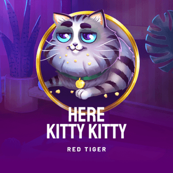 Here Kitty Kitty