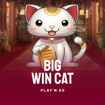 Big Win Cat