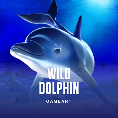 Wild Dolphin