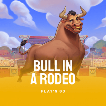 Bull in a Rodeo