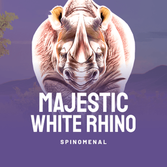 Majestic White Rhino