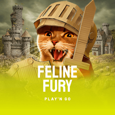 Feline Fury