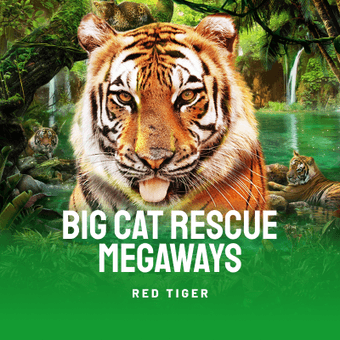 Big Cat Rescue Megaways
