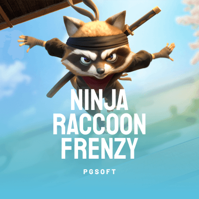 Ninja Raccoon Frenzy