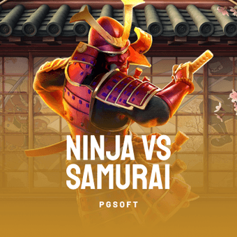 Ninja vs Samurai