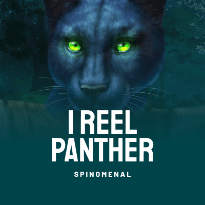 1 Reel Panther