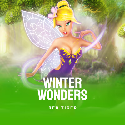 Winter Wonders