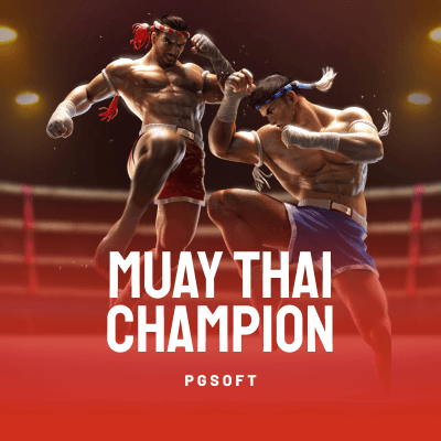 Muay Thai Champion