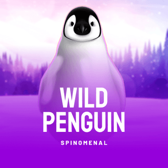 Wild Penguin