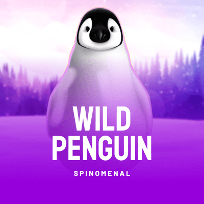 Wild Penguin