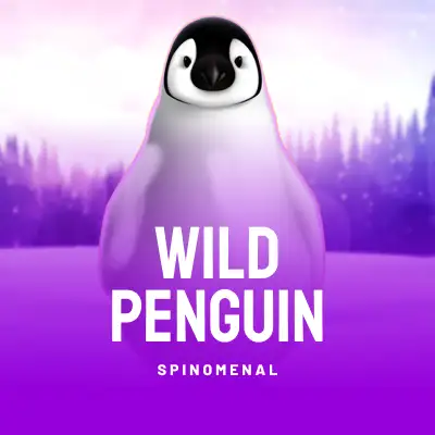 Wild Penguin
