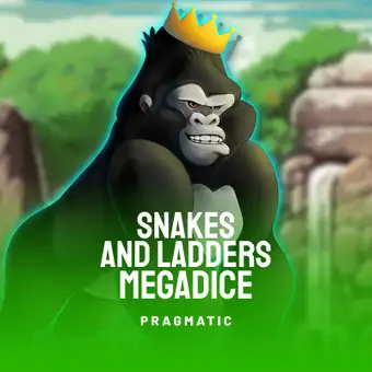 Snakes and Ladders Megadice