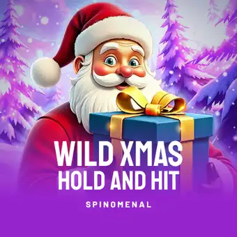 Wild Xmas -  Hold and Hit