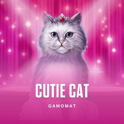 Cutie Cat
