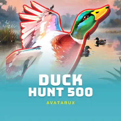 Duck Hunt 500