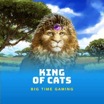 King of Cats