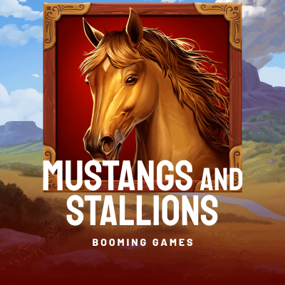 Mustangs and Stallions