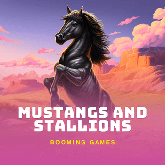 Mustangs and Stallions