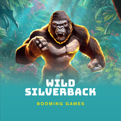 Wild Silverback