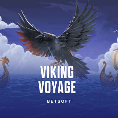 Viking Voyage