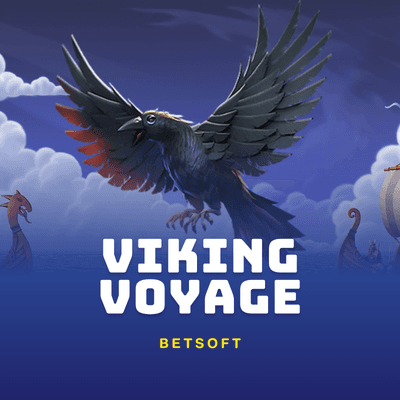 Viking Voyage