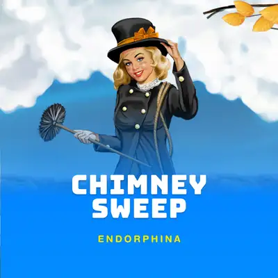 Chimney Sweep