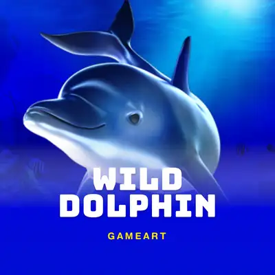 Wild Dolphin