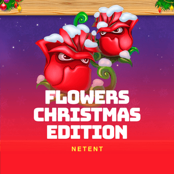 Flowers Christmas Edition