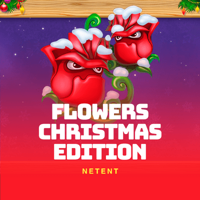 Flowers Christmas Edition