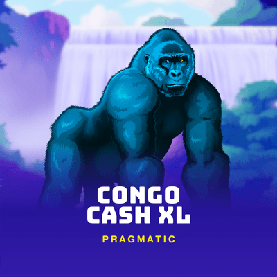 Congo Cash XL