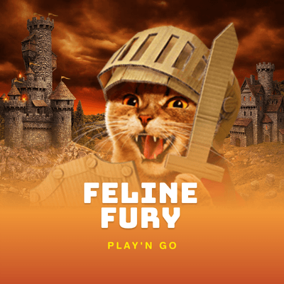 Feline Fury