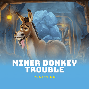 Miner Donkey Trouble