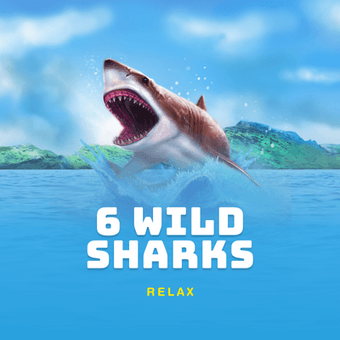 6 WILD SHARKS