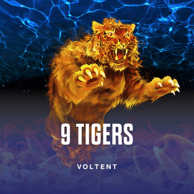 9 Tigers