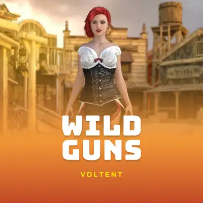 Wild Guns